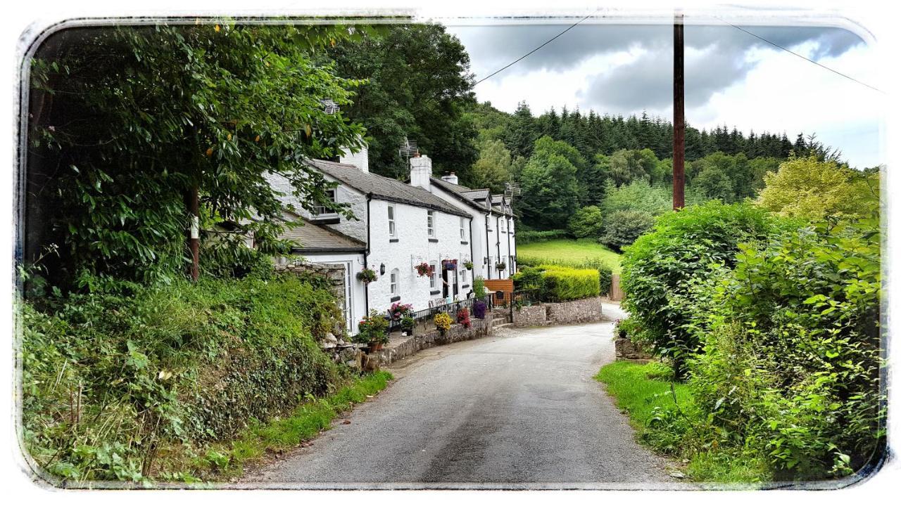 River Cottage St Asaph Zewnętrze zdjęcie