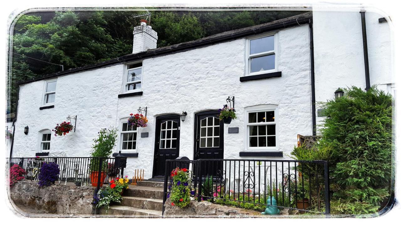 River Cottage St Asaph Zewnętrze zdjęcie