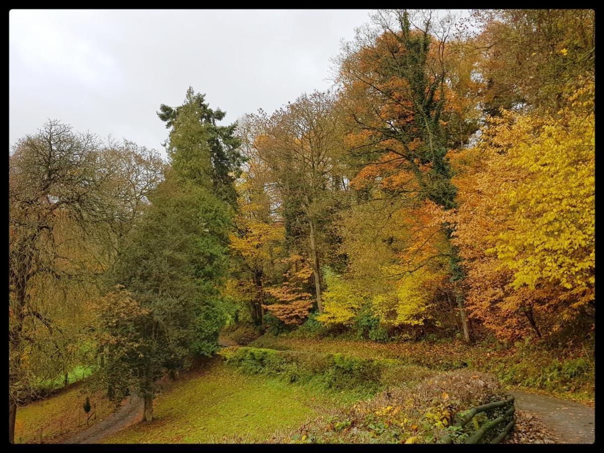 River Cottage St Asaph Zewnętrze zdjęcie